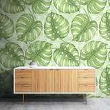 Wide Bold | 106cm(42") x 10m(33ft) / 10.6m² Coverage per roll
