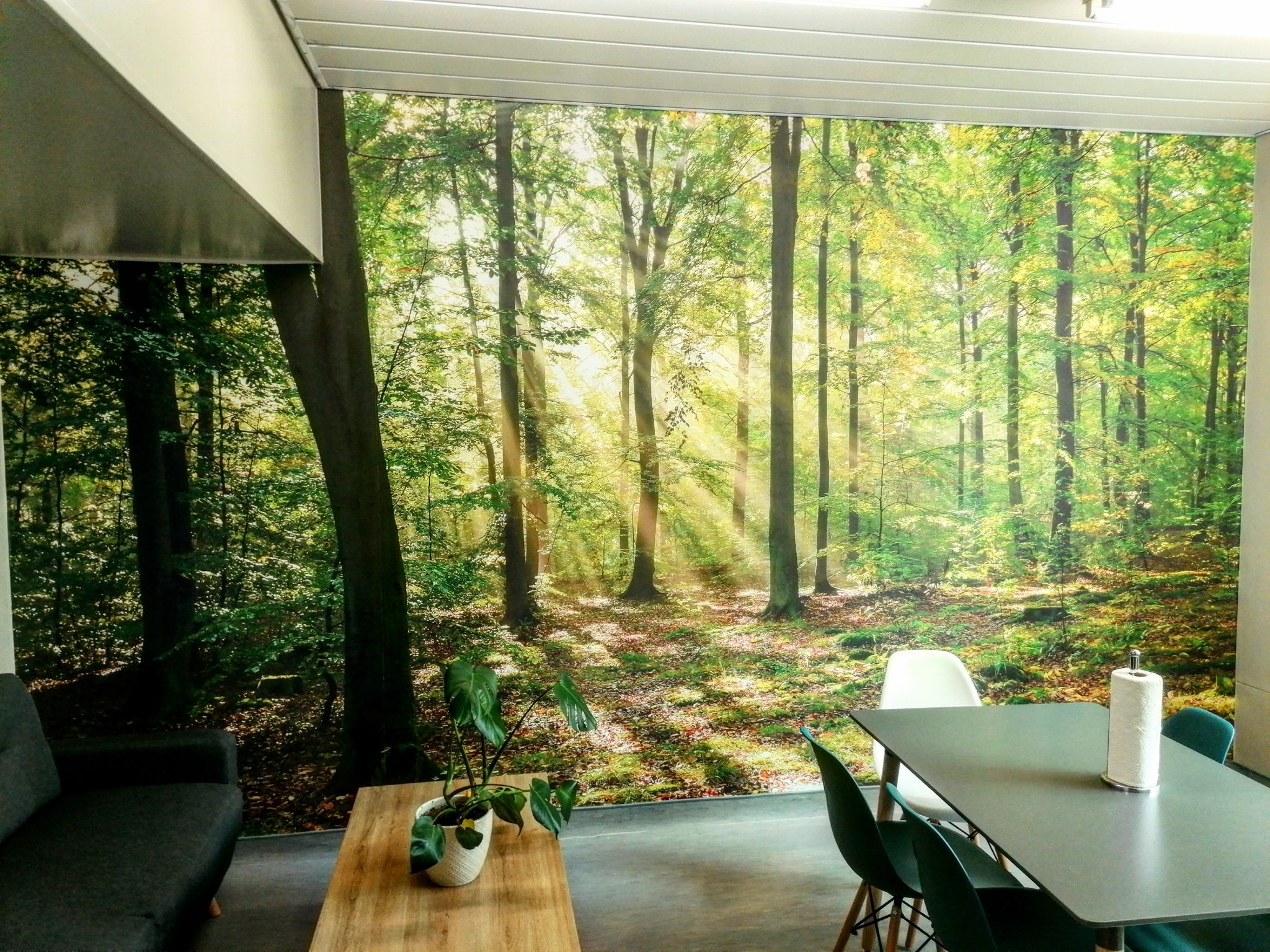 Panoramic living space