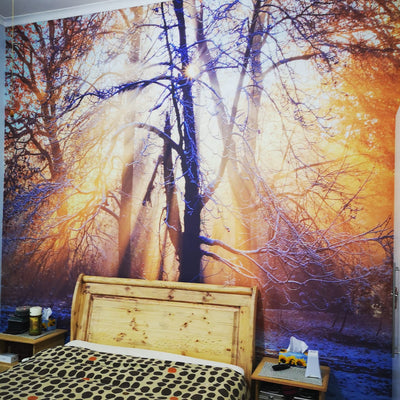 Statement wall transformation