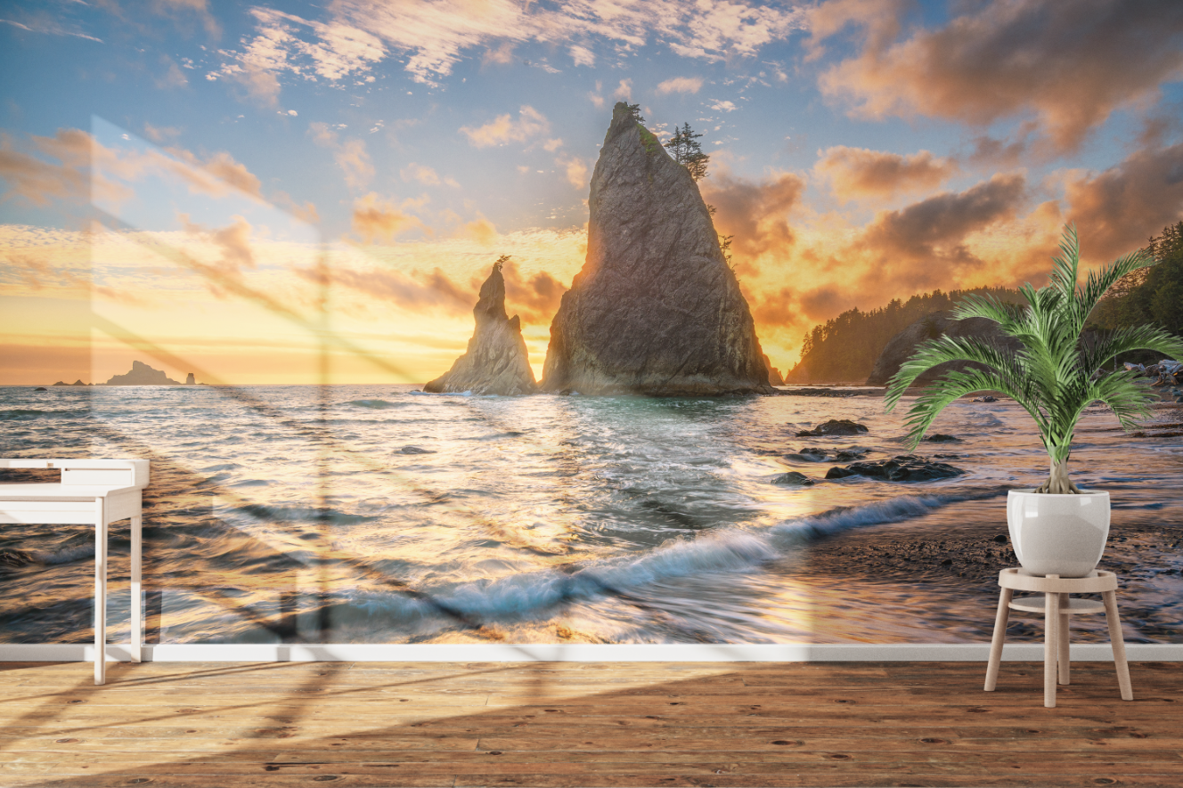 Olympic National Park Beach