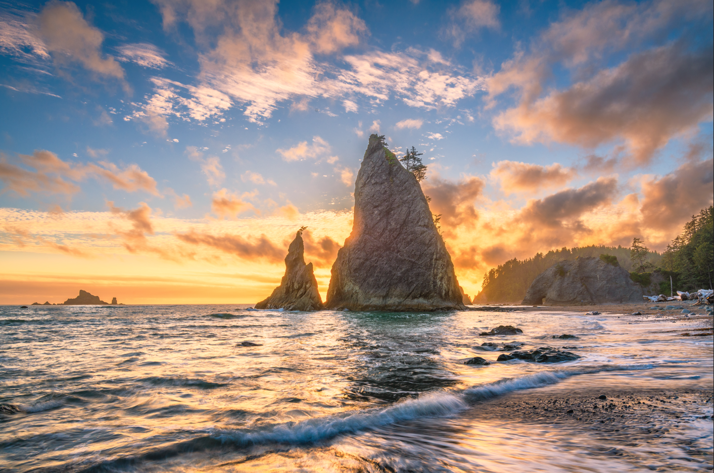 Olympic National Park Beach