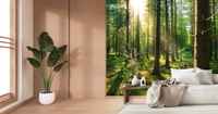 Sunlit Forest Serenity