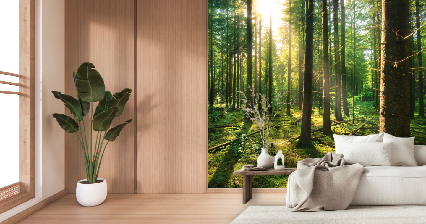 Sunlit Forest Serenity