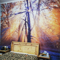 Sunrise in winter forest