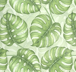 Delicious Monster Leaves On White