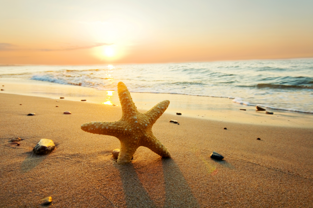 Beach sunset Wallprint Store