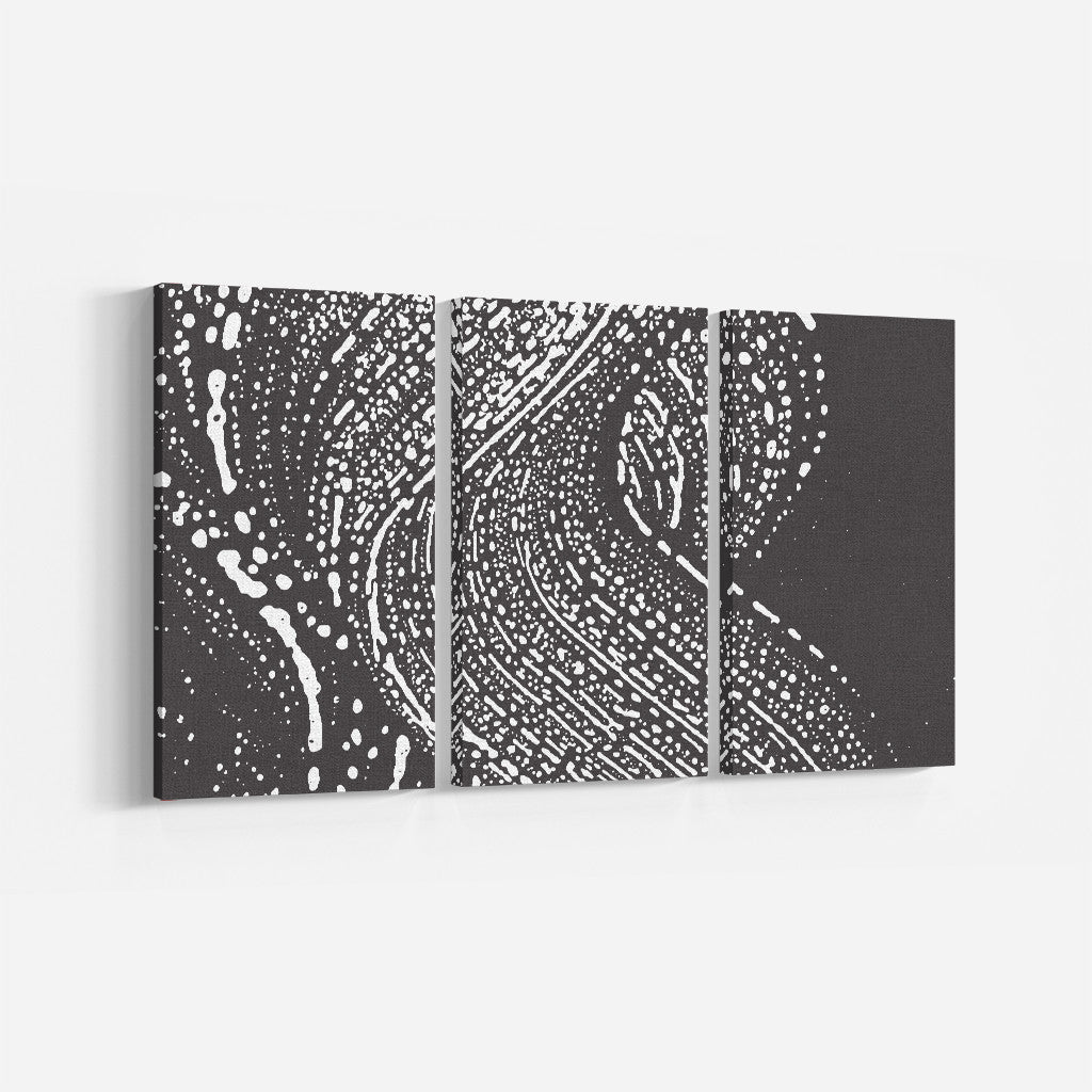 Charcoal Swirl_3 Piece Split Canvas WallPrint