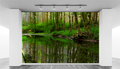 Forest lake WallPrint