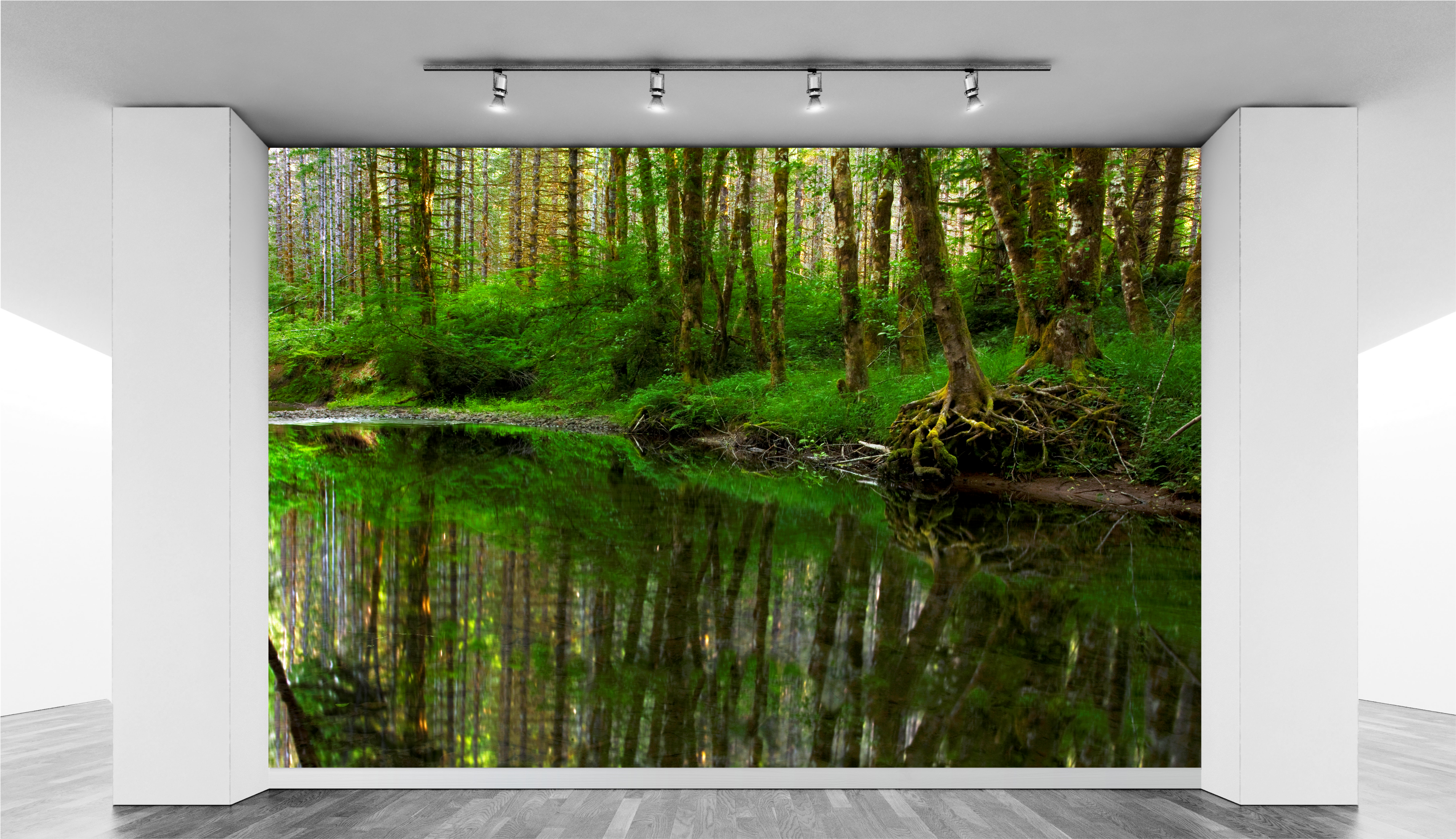 Forest lake WallPrint