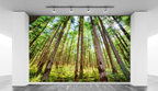 Morning sunlight through trees WallPrint