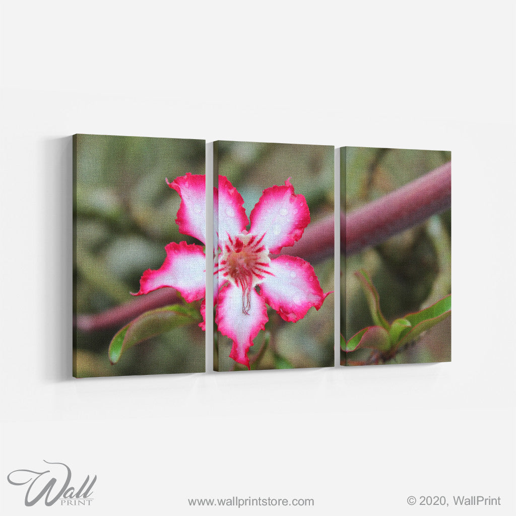 White & Pink flower _3 Piece Split Canvas Camilla Carr