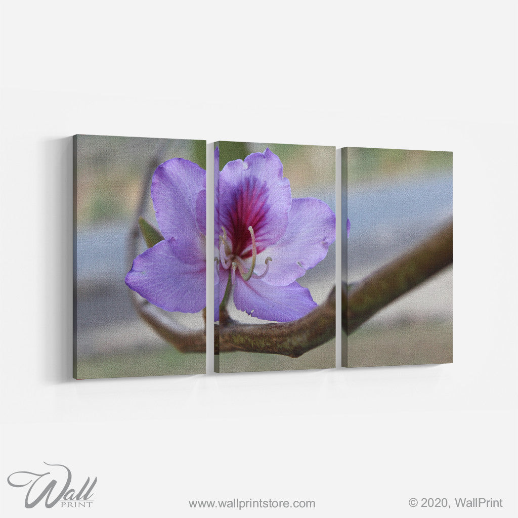 Purple Flower _3 Piece Split Canvas Camilla Carr