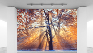 Sunrise in winter forest WallPrint