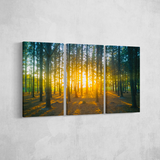 Standard - 130 x 71(cm) | 51" x 28"