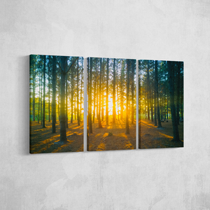 Forest Sunrise WallPrint