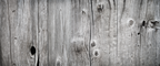 Tree trunk WallPrint