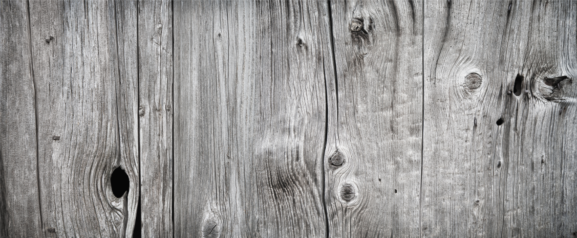 Tree trunk WallPrint